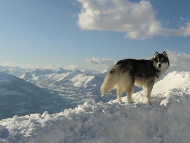 3 Liubov's dans les Hautes-Pyrénées.