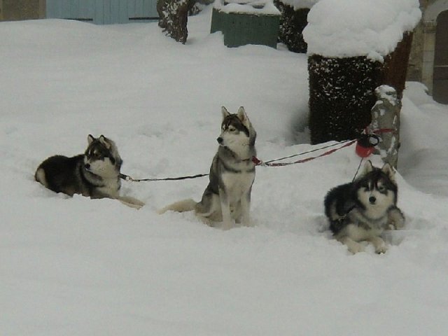 3 Liubov's dans les Hautes-Pyrénées.