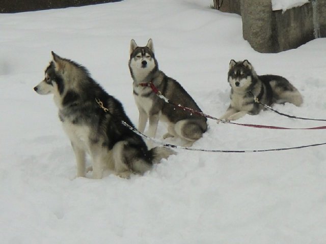3 Liubov's dans les Hautes-Pyrénées.
