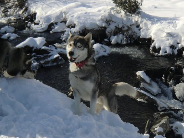 3 Liubov's dans les Hautes-Pyrénées.