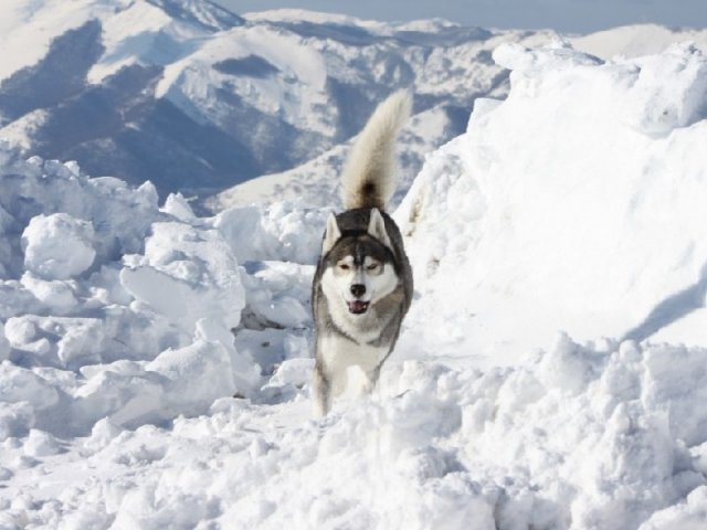 3 Liubov's dans les Hautes-Pyrénées.