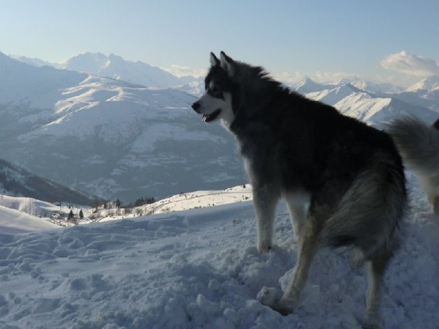 3 Liubov's dans les Hautes-Pyrénées.