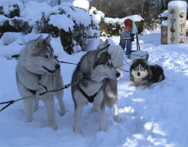 Rando - 6 au 20 Janvier 2010