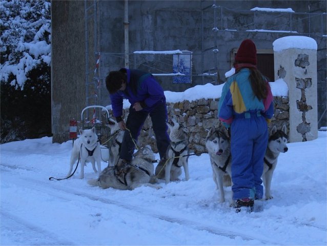 Rando - 6 au 20 Janvier 2010
