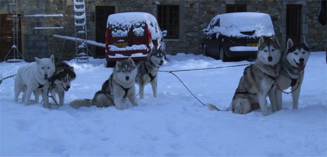 Rando - 6 au 20 Janvier 2010