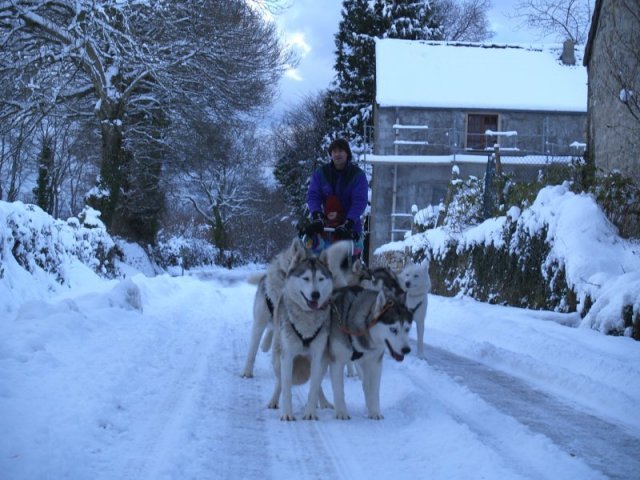 Rando - 6 au 20 Janvier 2010