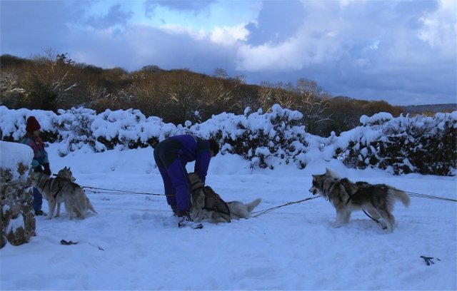 Rando - 6 au 20 Janvier 2010