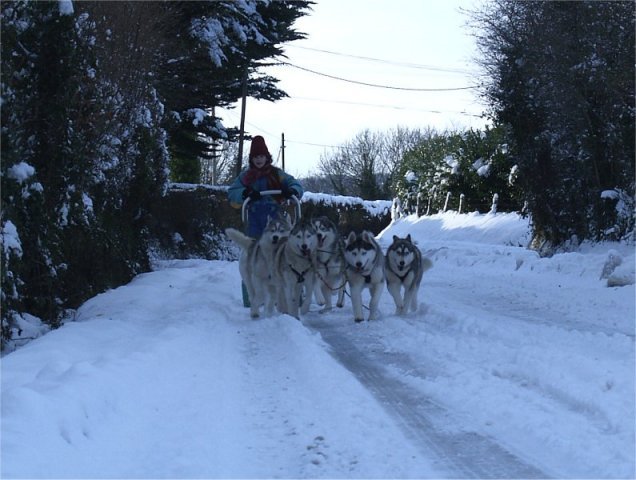 Rando - 6 au 20 Janvier 2010
