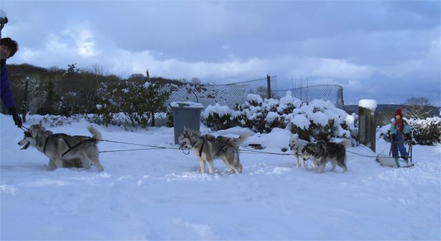 Rando - 6 au 20 Janvier 2010