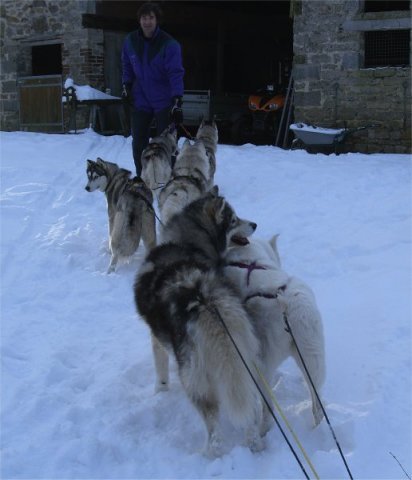 Rando - 6 au 20 Janvier 2010