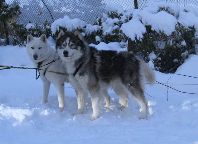 Rando - 6 au 20 Janvier 2010