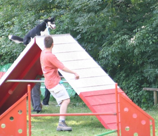 Abyss à l'entraînement 