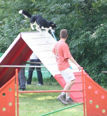 Abyss à l'entraînement 