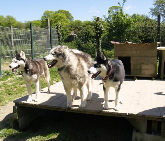 Arrivée de Gil Shadow