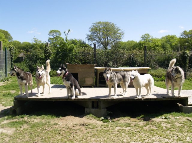 Arrivée de Gil Shadow