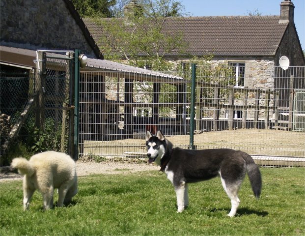 Arrivée de Gil Shadow