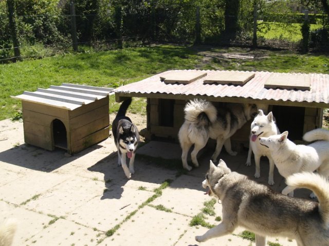 Arrivée de Gil Shadow