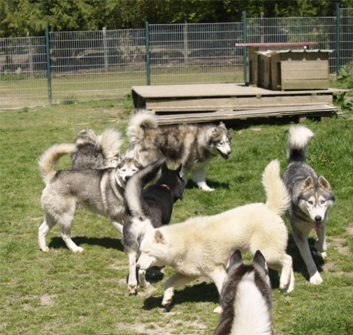 Arrivée de Gil Shadow