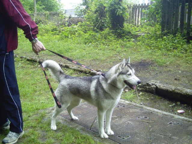 Bahia, première foulées