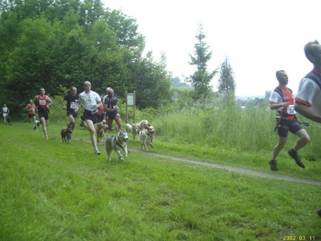 Bahia, première foulées