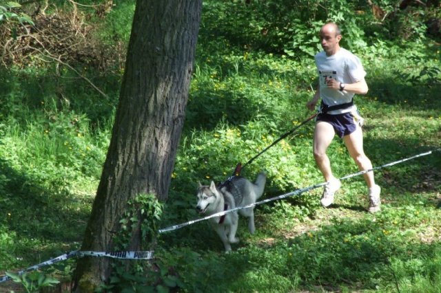 Bahia, première foulées