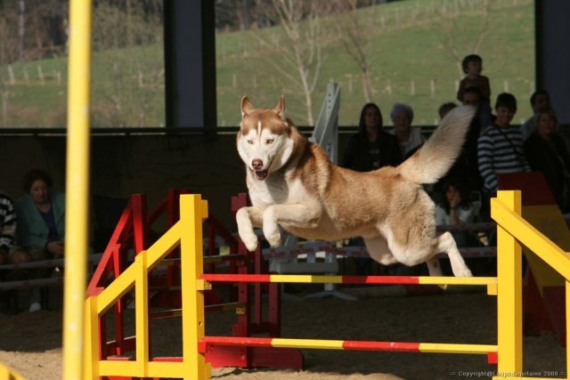 Broncks, premières compètes