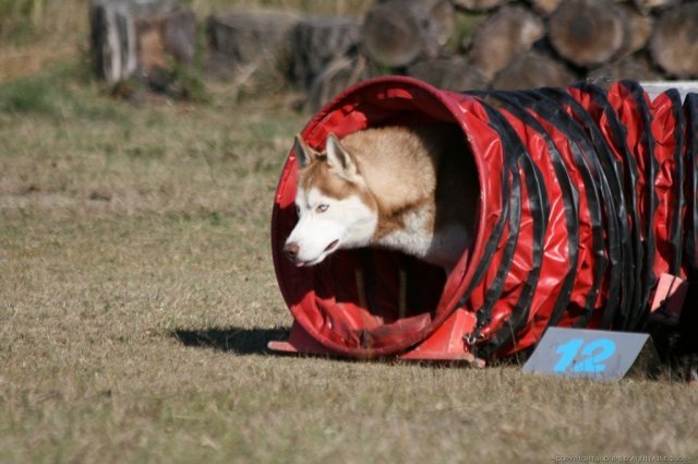 Broncks, premières compètes