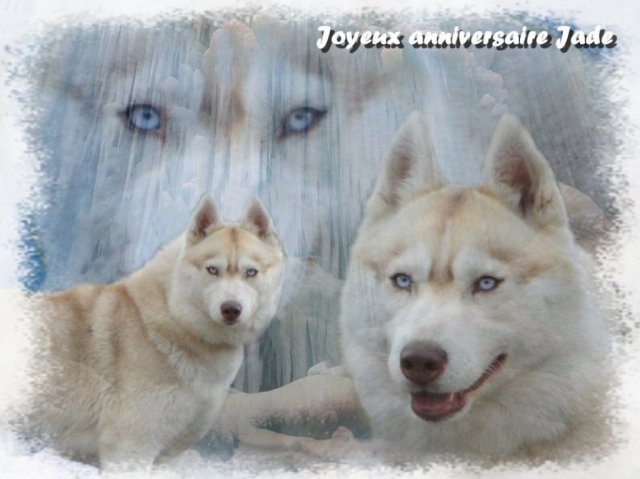 Création Graphiques