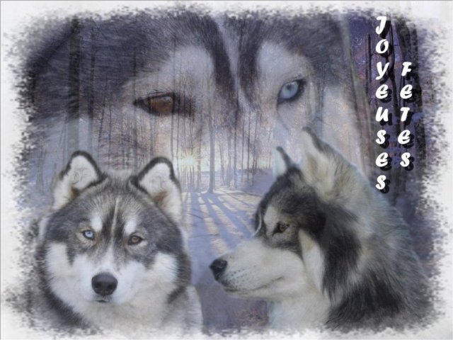 Création Graphiques