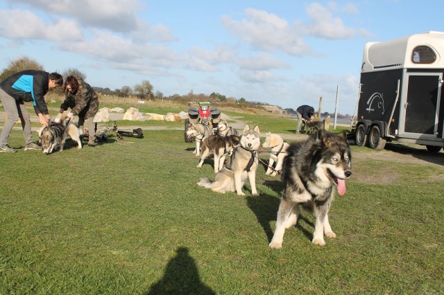 Entraînement 19 janv 2020