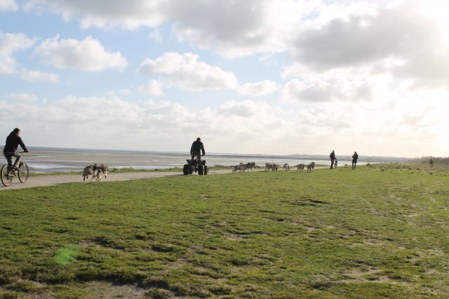 Entraînement 19 janv 2020