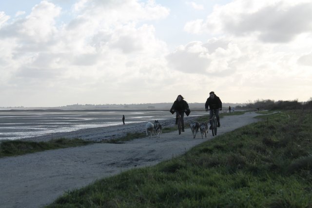 Entraînement 19 janv 2020