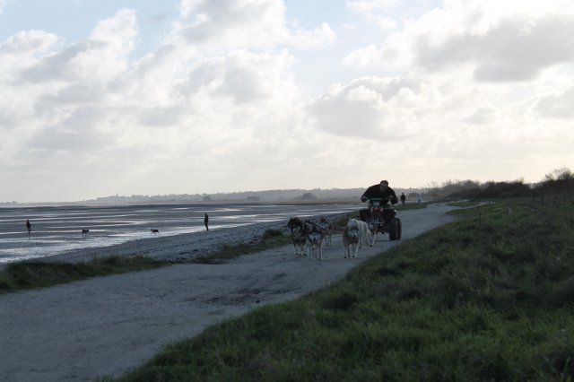 Entraînement 19 janv 2020