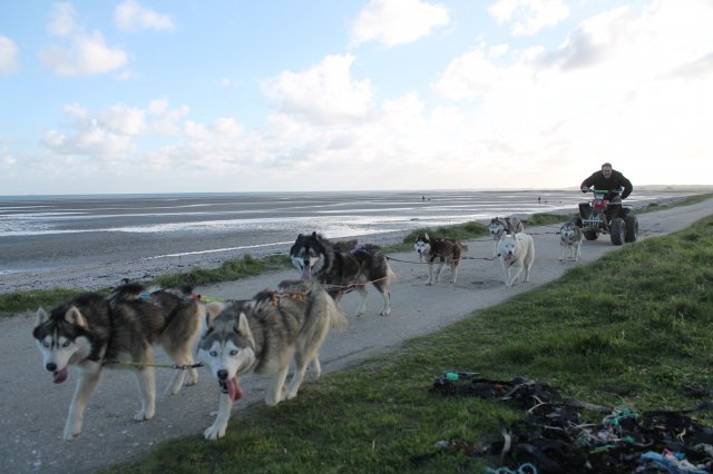 Entraînement 19 janv 2020