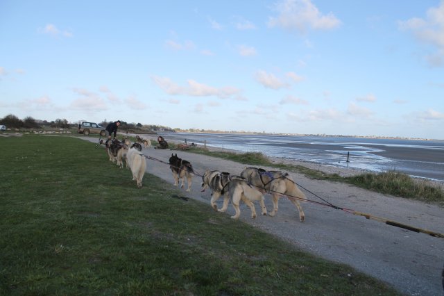 Entraînement 19 janv 2020