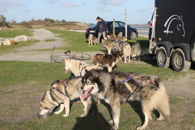 Entraînement 19 janv 2020