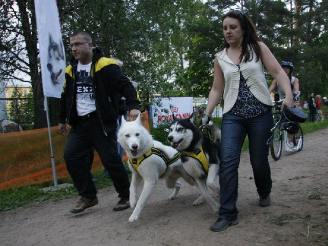 Flocon - baltic up 2012