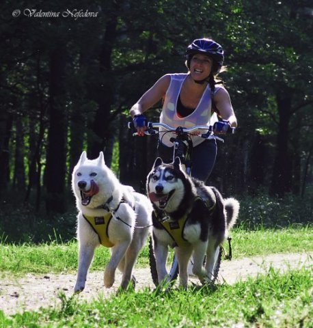 Flocon - baltic up 2012