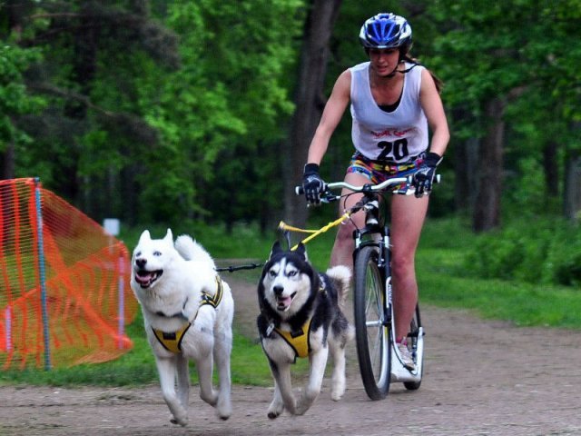 Flocon - baltic up 2012