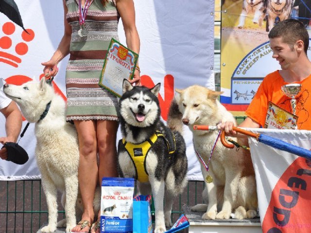 Flocon - baltic up 2012