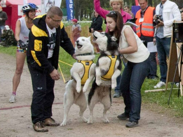 Flocon - baltic up 2012