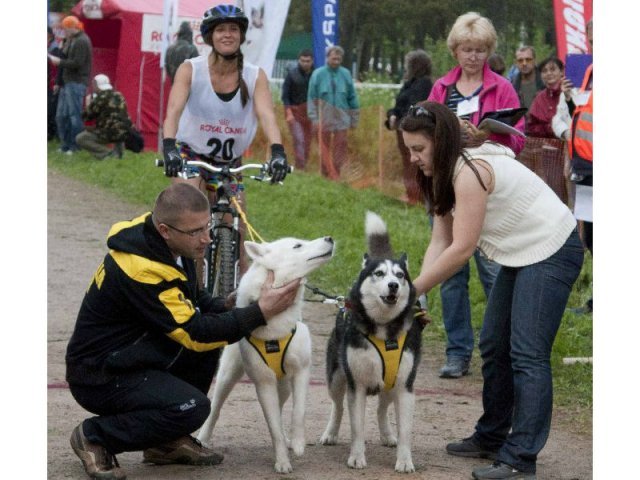 Flocon - baltic up 2012