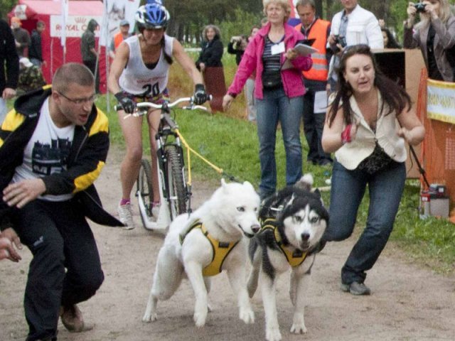 Flocon - baltic up 2012