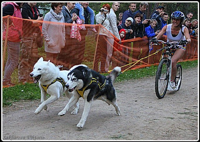 Flocon - baltic up 2012