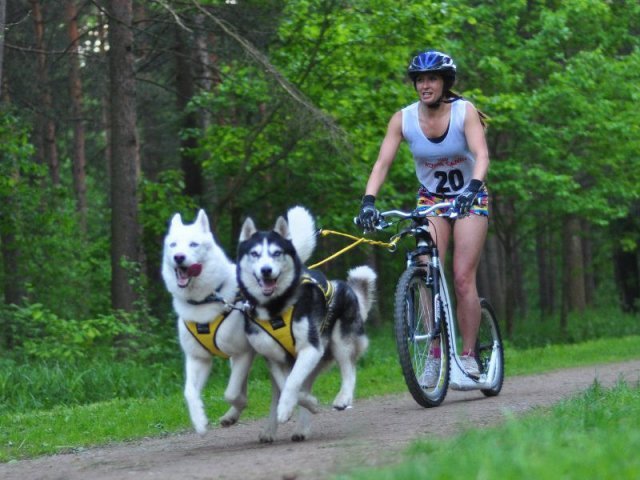 Flocon - baltic up 2012