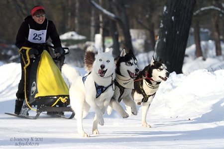 Flocon de Neige - 1er compète