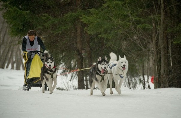 Flocon de Neige - 1er compète