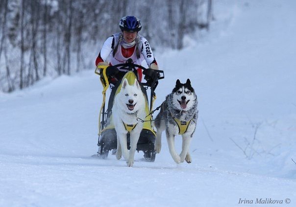 Flocon de Neige sur le podium