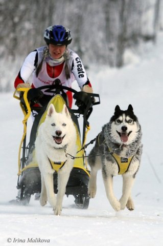 Flocon sprint 02 2012