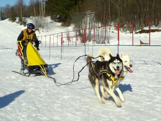 Flocon sprint 02 2012